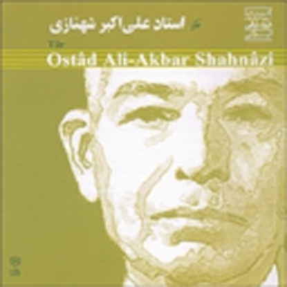 Picture of Tar of  Ostad Ali Akbar Shahnazi (1)