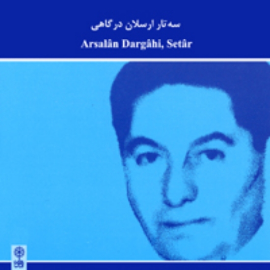 Picture of Setar of Arsalan Dargahi