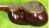 Picture of Persian Tar- Faraj 'ollah