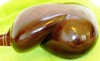 Picture of Persian Tar- Faraj 'ollah