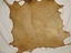 Picture of Daf Skin