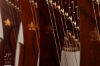 Picture of Harp/Chang Chakavak