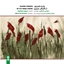 Picture of Eleven Tasnifs by Ali-Naqi Vaziri