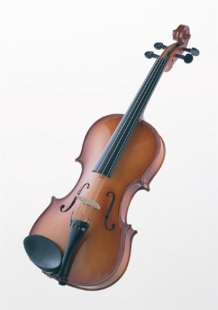 Picture for category Violin